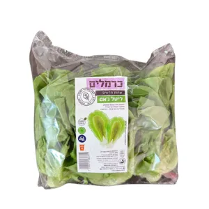 מארז חסה ליטל ג'אם